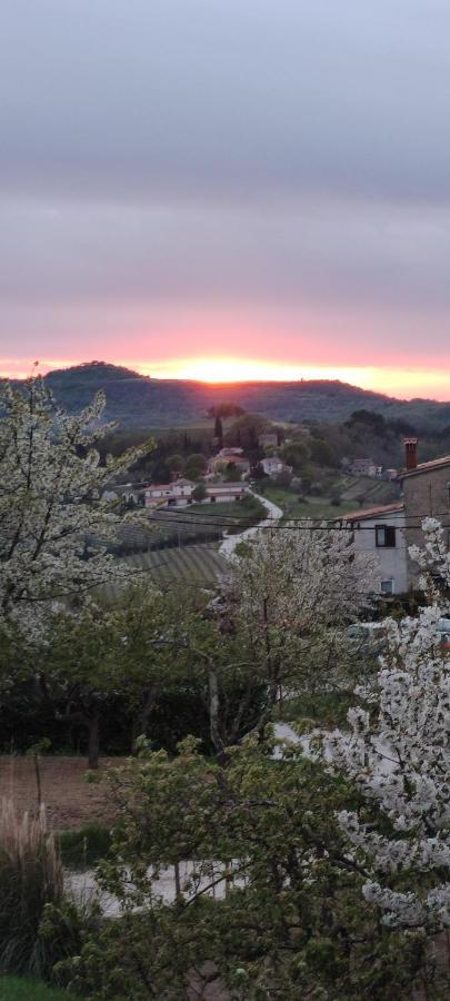 Apartman Tramonto Motovun Extérieur photo