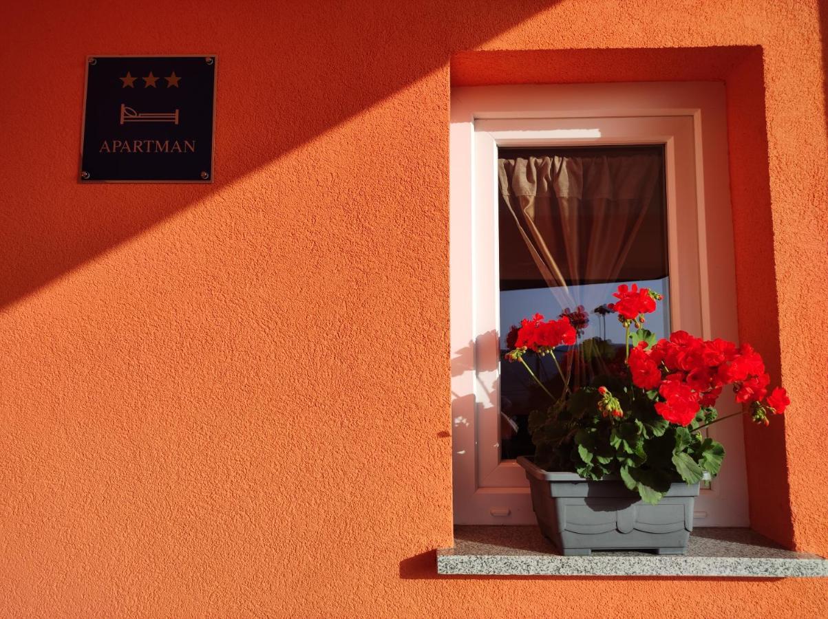 Apartman Tramonto Motovun Extérieur photo